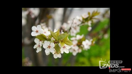 芒果月光寶盒開博爾H10評測:配最新秋香系統