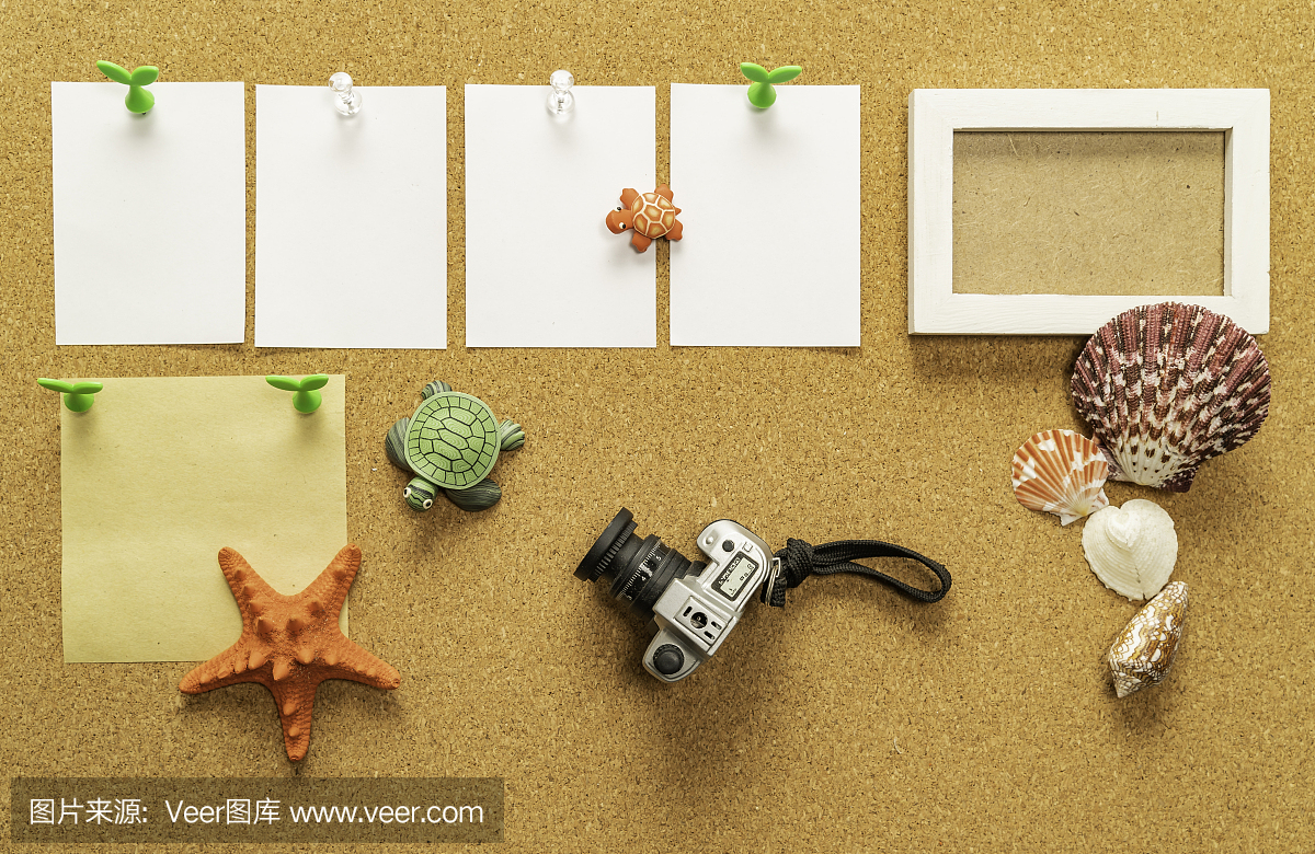 四張空白白紙,一張空白黃紙,配相框、相機、海貝、海星、海龜
