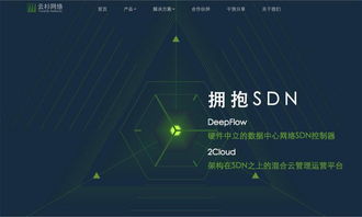 云杉網絡完成1100萬美元B輪融資，引領國內SDN技術服務新浪潮